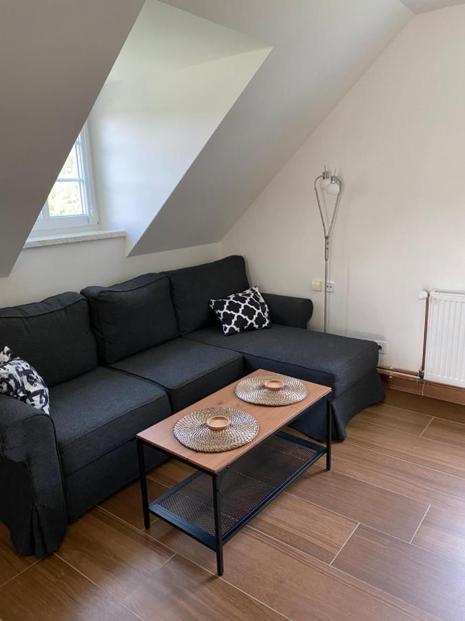 Apartman 430 Дештне в Орлицких горах Экстерьер фото