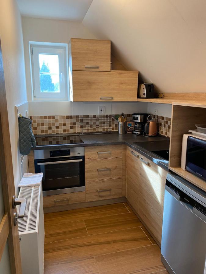 Apartman 430 Дештне в Орлицких горах Экстерьер фото
